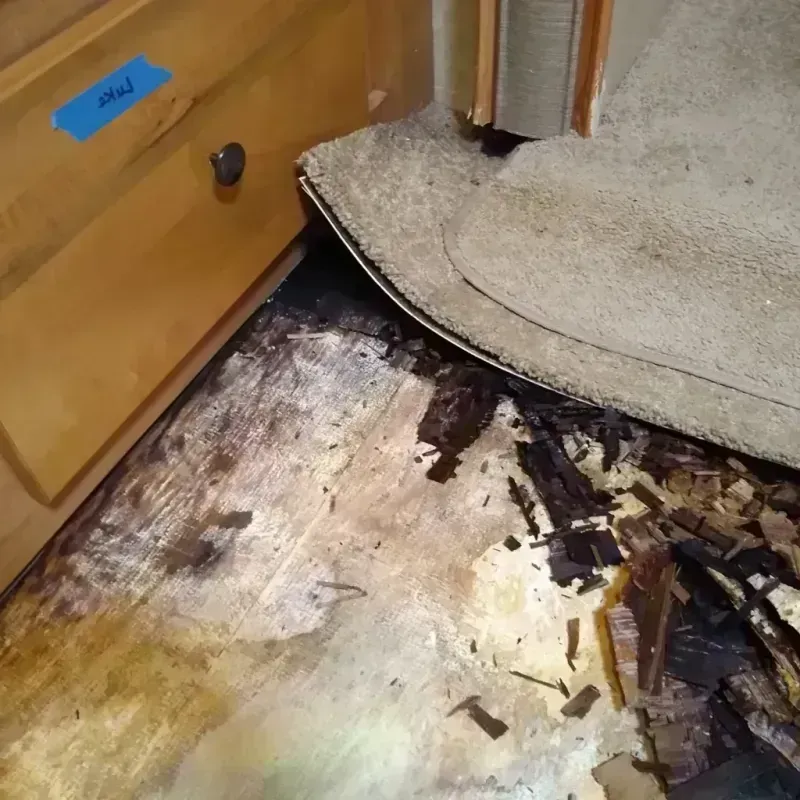 Wood Floor Water Damage in Hartford, AL